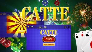 catte 1